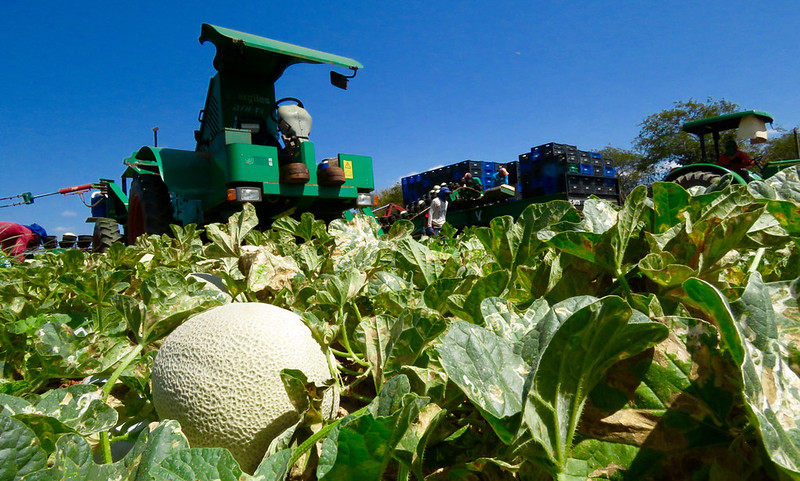 Em 2023, até o mês de novembro, foram mais de R$ 18 milhões em crédito, além de ações de estruturação de cadeias produtivas