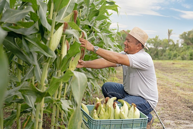 Francinaldo Farias, produtor rural em Caxias MA / Foto: Cival Jr.