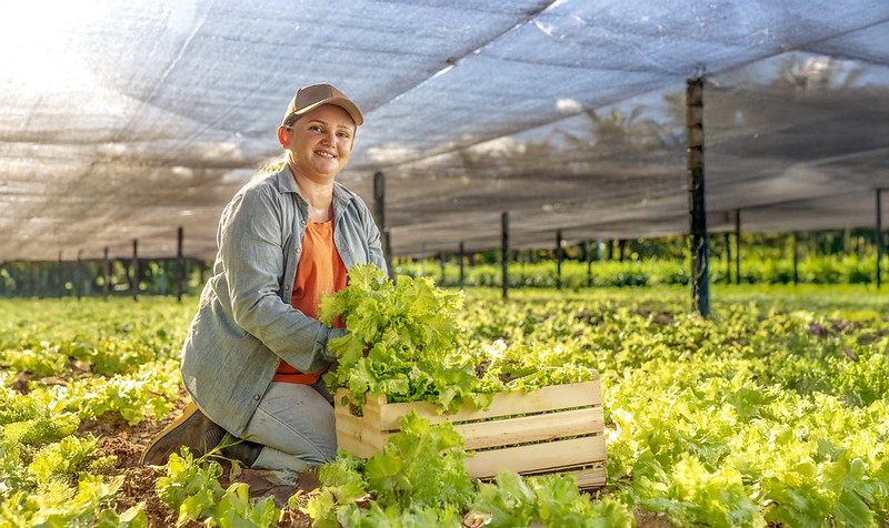 As contratações realizadas por mulheres passaram de R milhões em para R bilhões no ano passado